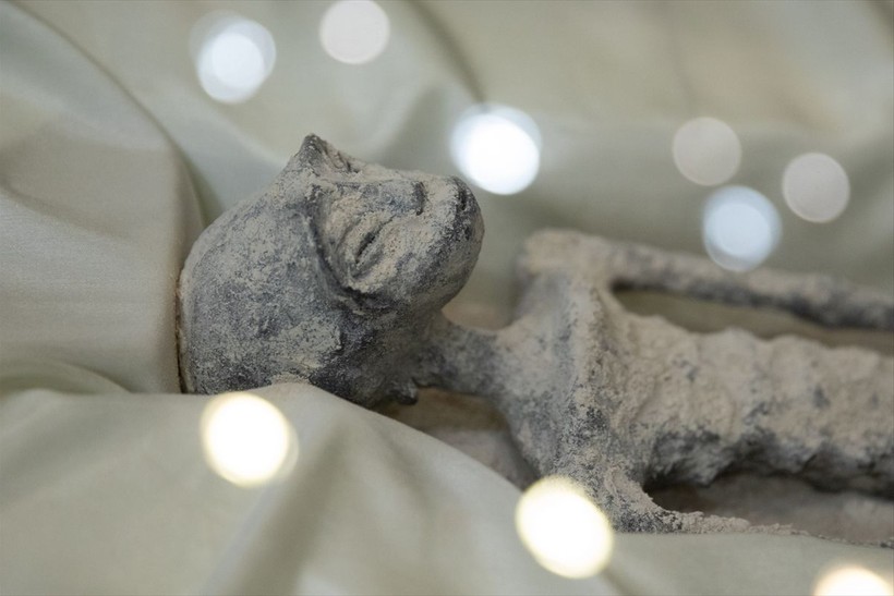 Meksika meclisinde sergilenen uzaylı fosillerine yalanlama geldi: DNA testi yapılmadı - Resim: 8