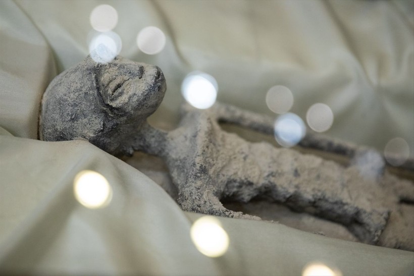 Meksika meclisinde sergilenen uzaylı fosillerine yalanlama geldi: DNA testi yapılmadı - Resim: 9