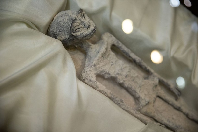 Meksika meclisinde sergilenen uzaylı fosillerine yalanlama geldi: DNA testi yapılmadı - Resim: 17