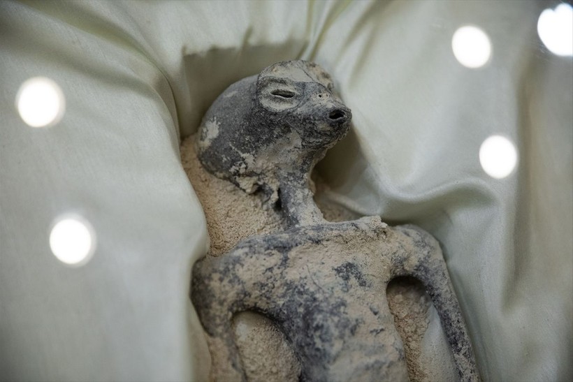 Meksika meclisinde sergilenen uzaylı fosillerine yalanlama geldi: DNA testi yapılmadı - Resim: 19