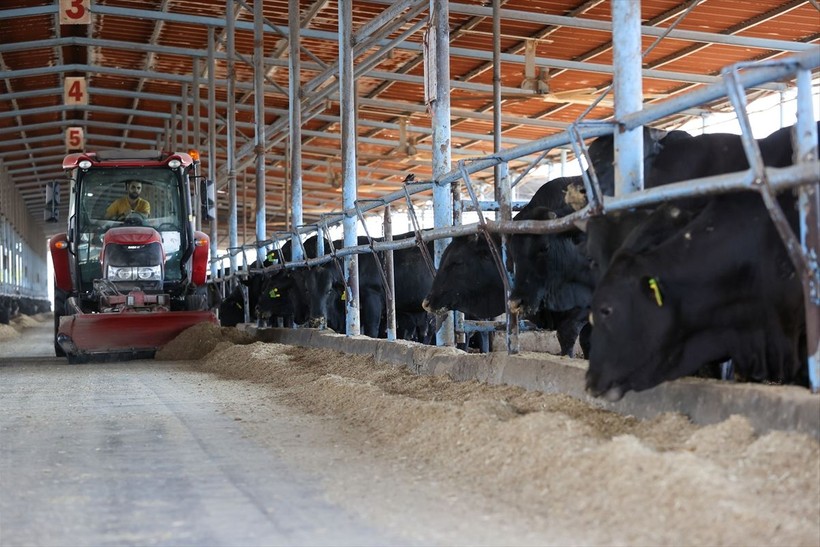 Gaziantep'teki dev tesiste hayvan tezeklerinden 4,5 megavatlık enerji üretiliyor - Resim: 11