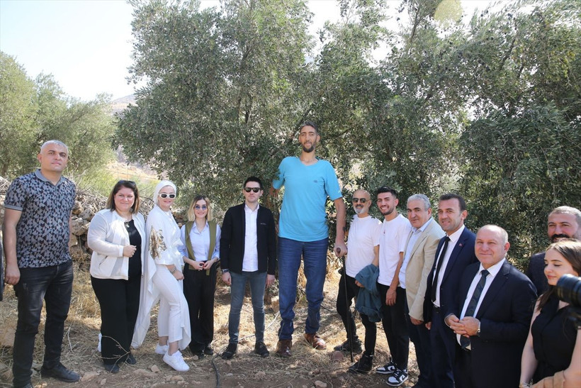 "Dünyanın en uzun adamı" Sultan, Derik zeytininin hasadına katıldı - Resim: 10