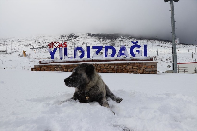 Başkent Ankara beyaz masalı yaşıyor! Yurt genelinden kar manzaraları ❄️☃️🧤 - Resim: 76