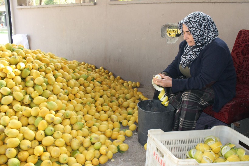 Dalında kuruşla ipte lirayla! Kadın girişimci herkesin dereye döktüğü limonda çareyi buldu - Resim: 2