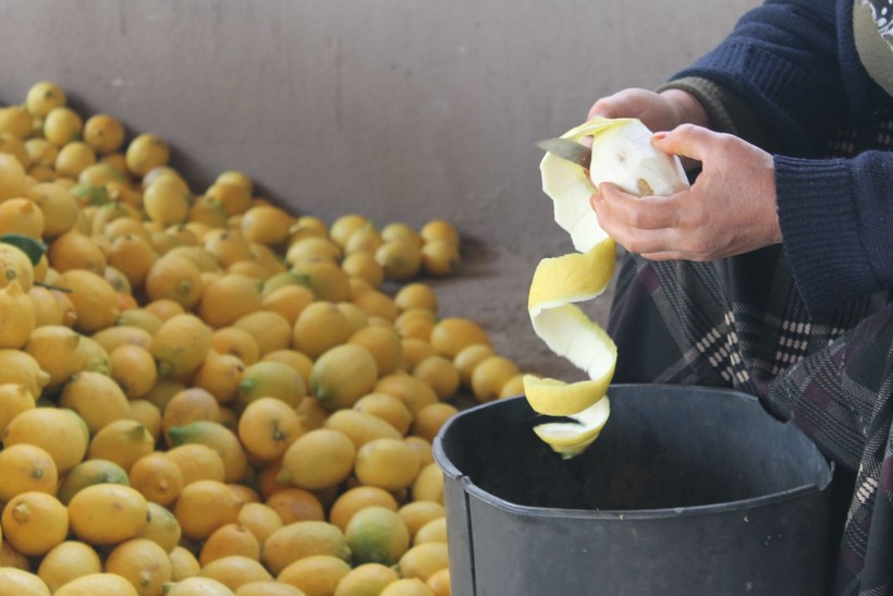 Dalında kuruşla ipte lirayla! Kadın girişimci herkesin dereye döktüğü limonda çareyi buldu - Resim: 1