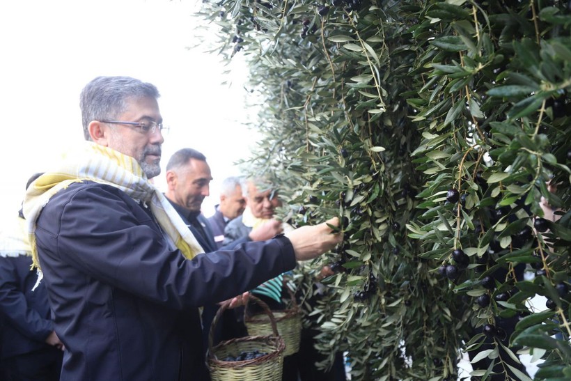 Bakan Yumaklı: Milletimiz zeytin üzerinden yapılan spekülasyonlara itibar etmesin - Resim: 2