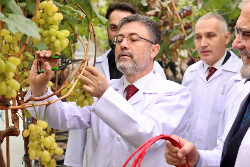 Bakan Yumaklı: Milletimiz zeytin üzerinden yapılan spekülasyonlara itibar etmesin - Resim: 15