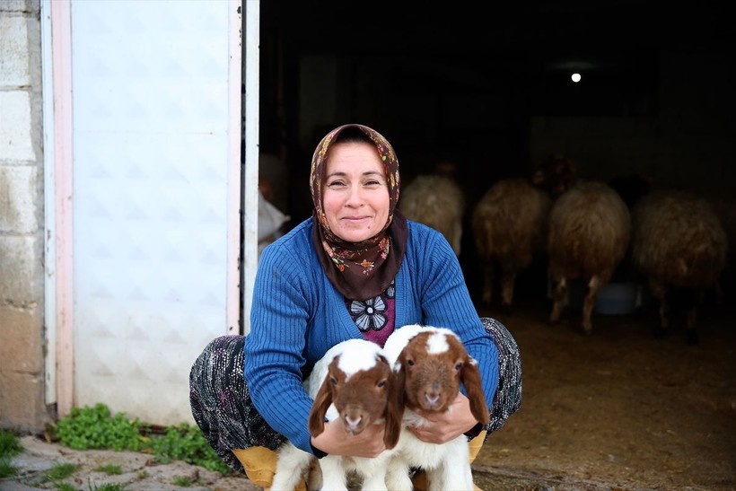 Ev temizliğinden besiciliğe! Kadın girişimci 3 yılda hayvan sayısını 17'den 91'e çıkardı - Resim: 12