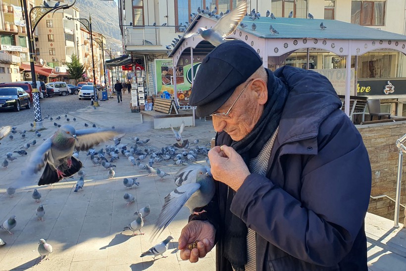 Kadir dede her sabah güvercinleri ağzıyla besliyor - Resim : 2
