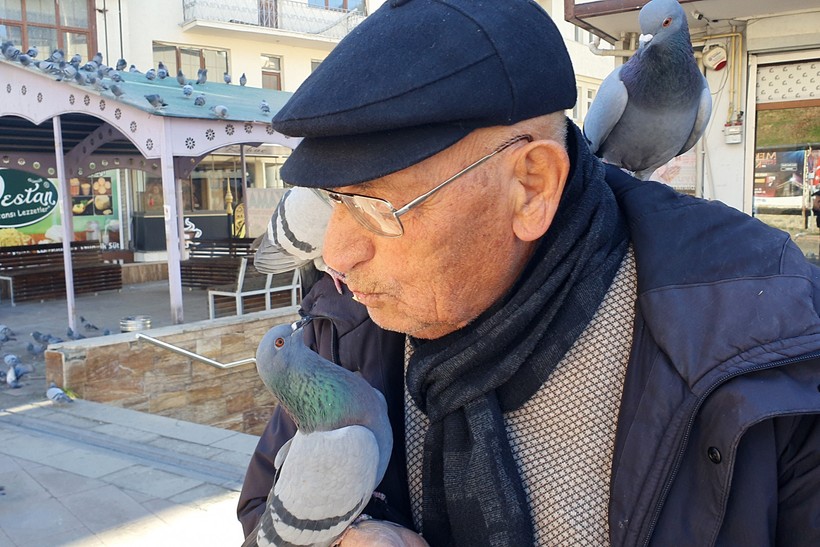 Kadir dede her sabah güvercinleri ağzıyla besliyor - Resim : 1