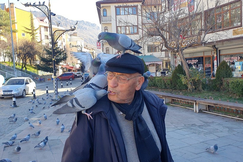 Kadir dede her sabah güvercinleri ağzıyla besliyor - Resim : 3