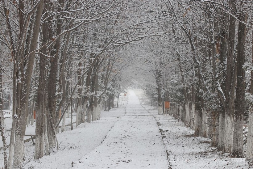 AKOM'dan gizli buzlanma uyarısı! İstanbul'a kar ne zaman yağacak? Özellikle 'öğle' saatlerine dikkat edin 🌨️❄️☃️| 12 OCAK HAVA DURUMU NASIL? - Resim: 13