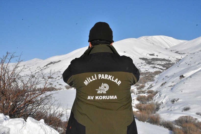 Erzurum'da arazilere kurulan fotokapanlarla kaçak avcılıkla mücadele ediyorlar - Resim: 3