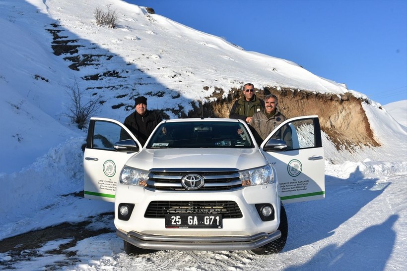 Erzurum'da arazilere kurulan fotokapanlarla kaçak avcılıkla mücadele ediyorlar - Resim: 9