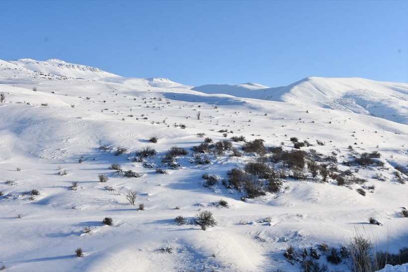 Erzurum'da arazilere kurulan fotokapanlarla kaçak avcılıkla mücadele ediyorlar - Resim: 10