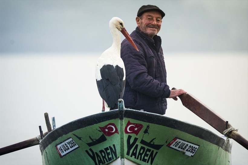 Yaren leylek 13. yılda da uçup Bursa'ya kondu - Resim: 4