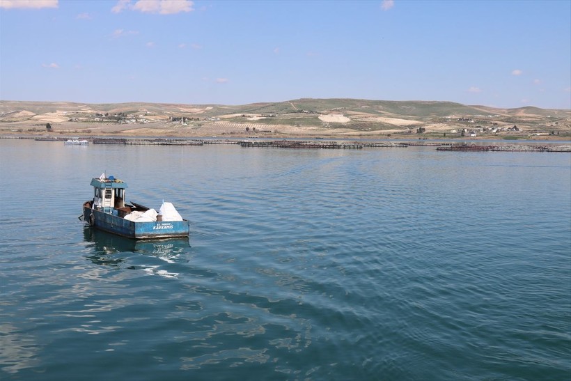 Devlet desteğiyle Fırat Nehri'nde ürettiği balıkları Rusya pazarına ihraç ediyor - Resim: 5