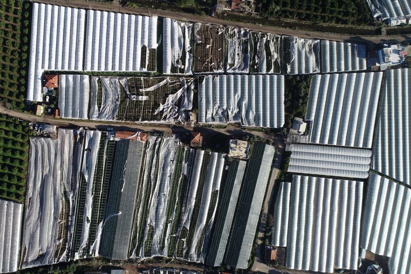 Antalya'da hortumun bilançosu ağır oldu: 6 yaralı, 1000 dönüm sera zarar gördü - Resim: 10