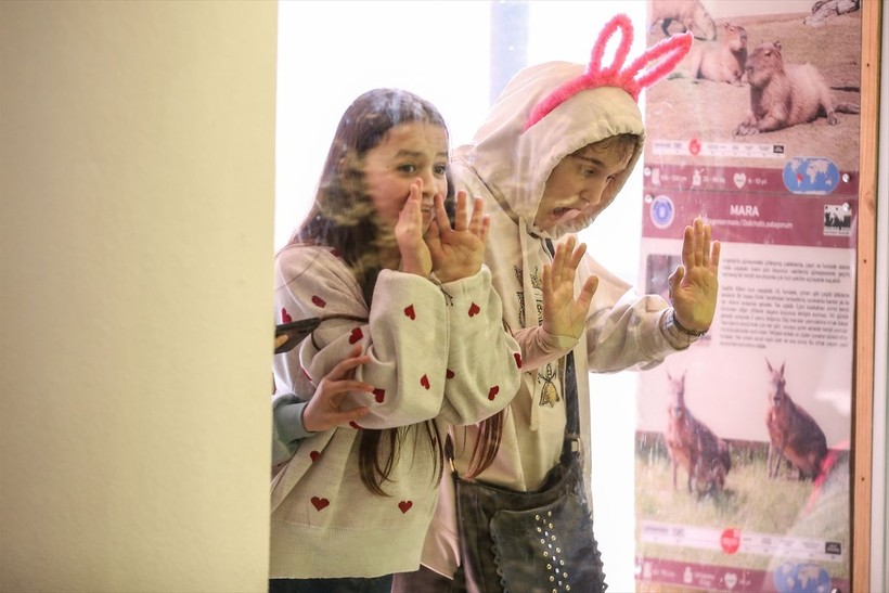 Saman boyunlu ibis kuşu ve mandarin ördeği Bursa'daki hayvanat bahçesinde korunuyor - Resim: 33