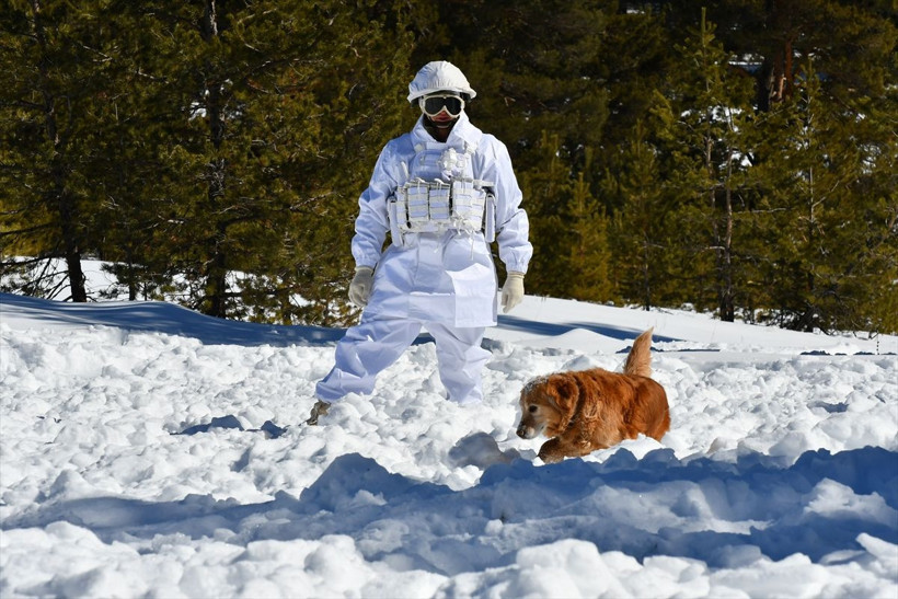 Komandoların Kars'ın karlı dağlarında zorlu eğitimi❄️⛷️🗻 - Resim: 44