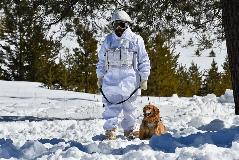 Komandoların Kars'ın karlı dağlarında zorlu eğitimi❄️⛷️🗻 - Resim: 45