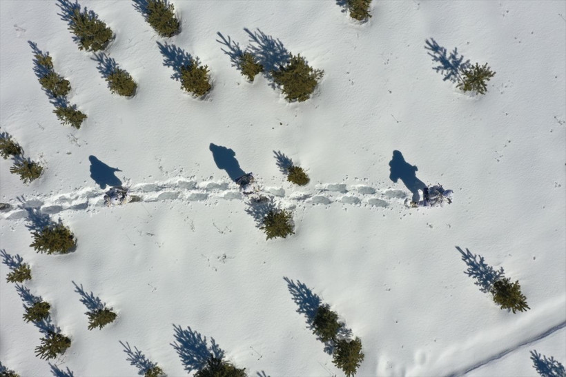 Komandoların Kars'ın karlı dağlarında zorlu eğitimi❄️⛷️🗻 - Resim: 65