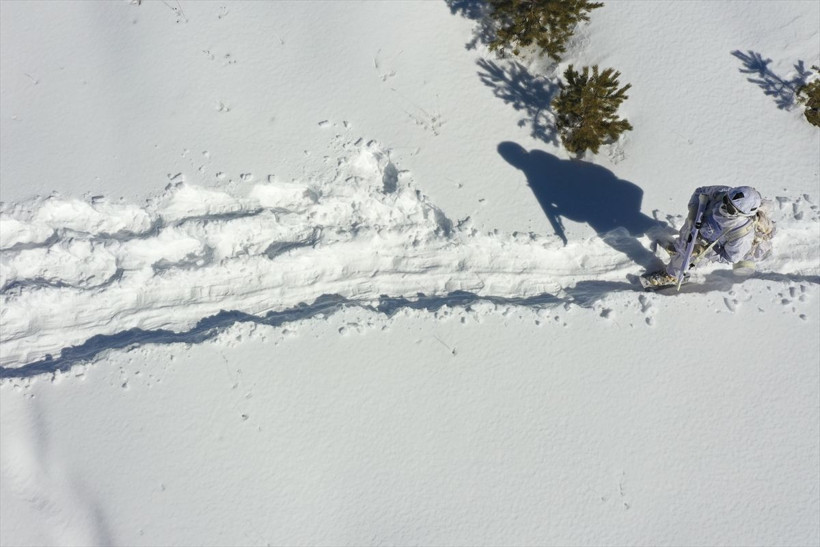 Komandoların Kars'ın karlı dağlarında zorlu eğitimi❄️⛷️🗻 - Resim: 71