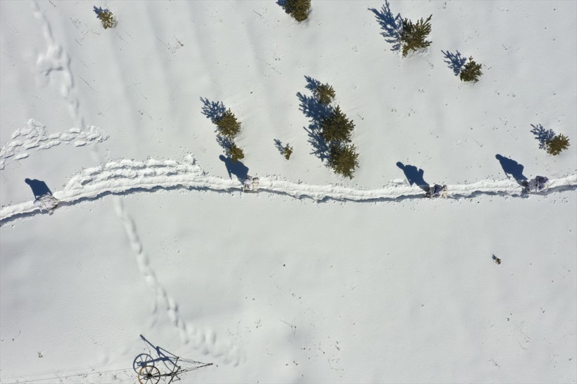 Komandoların Kars'ın karlı dağlarında zorlu eğitimi❄️⛷️🗻 - Resim: 72