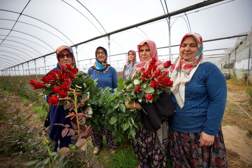 Köylü kadınlar, kurdukları gül serasını 4 yılda 4 kat büyüttü - Resim: 4