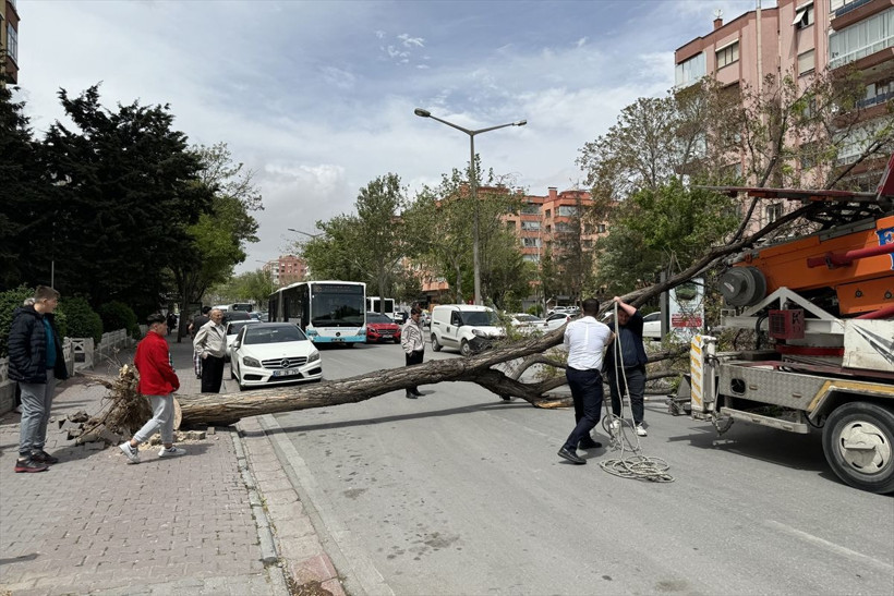 İstanbul, Ankara, Balıkesir, Antalya, Muğla, Konya... Yurdu fırtına vurdu: Ağaçlar söküldü, çatılar uçtu - Resim: 23