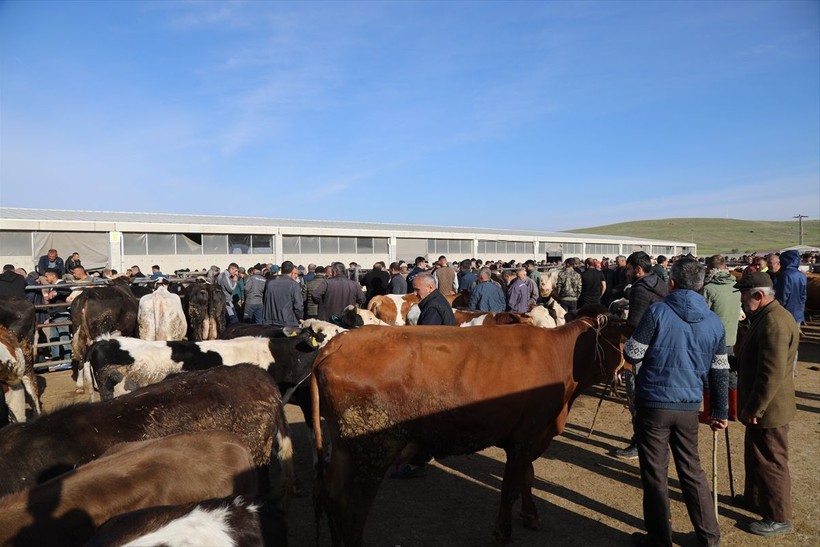 Başkent'te kurbanlık satışları başladı - Resim: 11