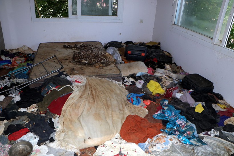 Kiracının çıktığı evden çıkanlar mide bulandırdı! Virane evden onlarca kedi ölüsü çıktı - Resim: 17