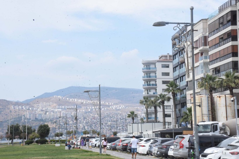 "İzmir'de olası bir depremde deniz kentin içine girecek" - Resim: 5