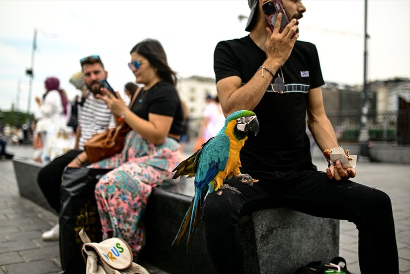 İstanbul'u 2 sıcak hava dalgası kavuruyor! Sıcaklar ne zamana kadar sürecek? AKOM'dan bir uyarı daha - Resim: 6