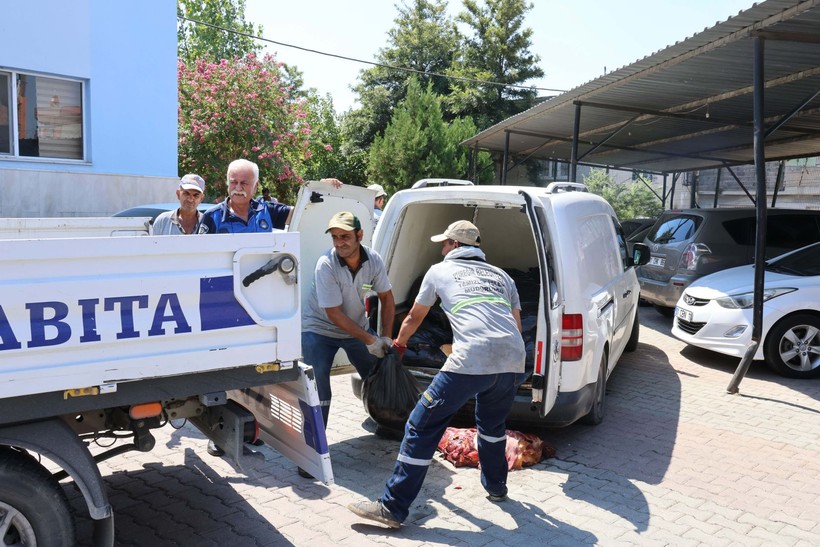 Adana'da 1.5 ton at ve eşek etiyle yakalandı: Akrabalarıma dağıtacaktım - Resim: 2