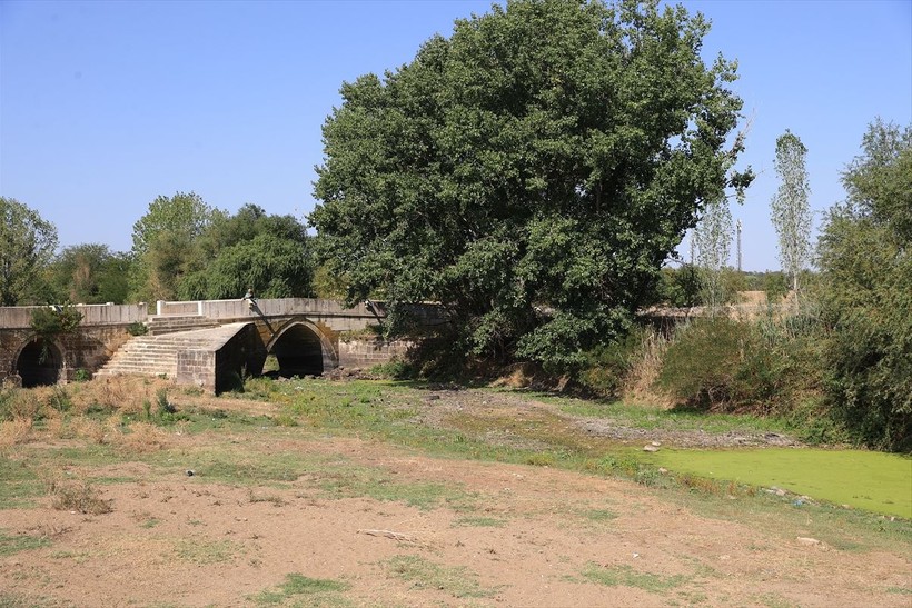 Tunca Nehri'ni kuraklık vurdu! Bazı bölümlerinde su akışı durdu - Resim: 5