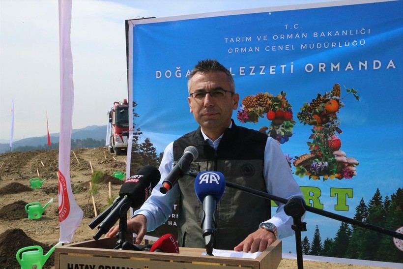 Hatay'ın merkez Antakya ilçesinde Orman Haftası dolayısıyla düzenlenen etkinlikte 1000 fıstık çamı...