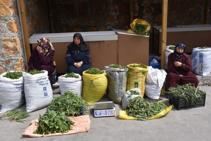 Madımak tezgahlardaki yerini aldı! Fiyatı dudak uçuklattı - Resim: 9
