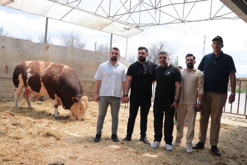 Kurban Bayramı yaklaşıyor! Şampiyon boğa Poyraz 540 bin TL'ye satıldı - Resim: 8