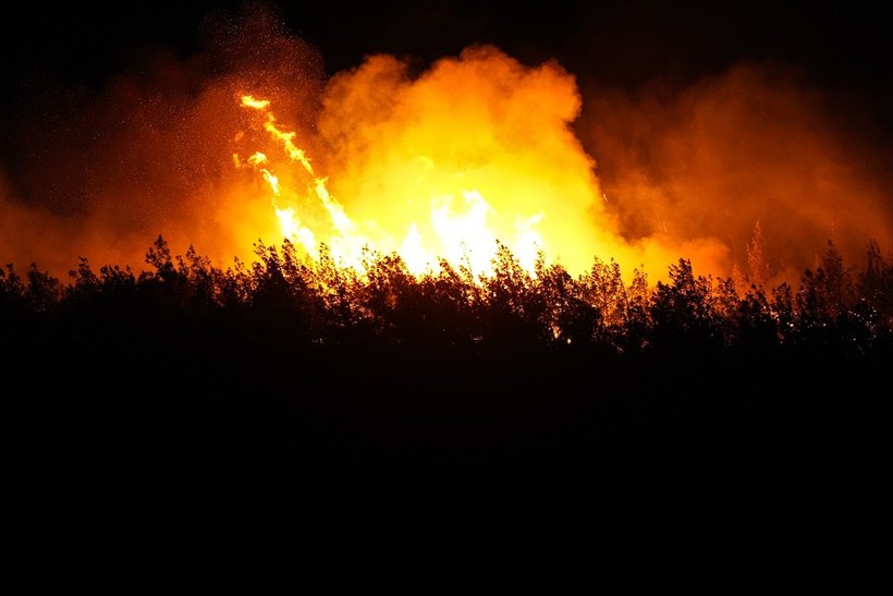 İzmir'in Aliağa ilçesinde çıkan orman yangınına müdahale sürüyor - Resim: 10