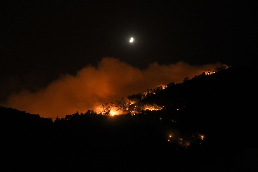 İzmir Ödemiş'te orman yangını çıktı - Resim: 10