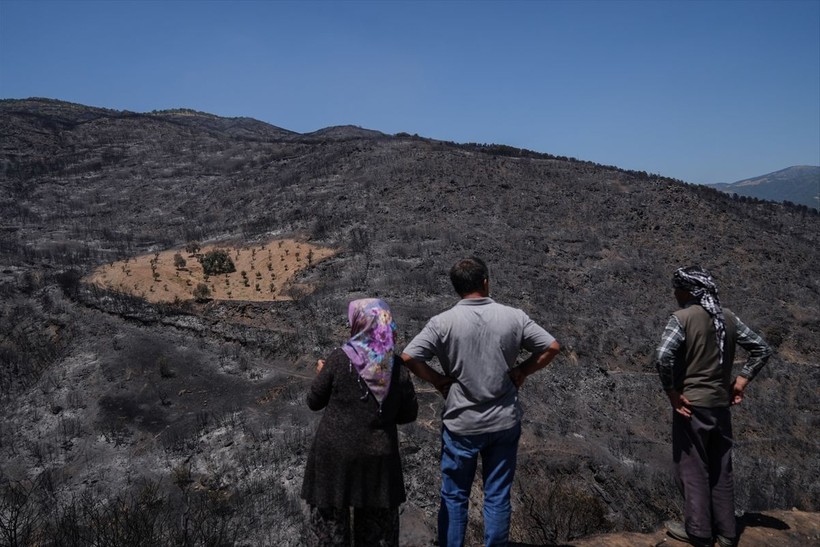 Ödemiş yangınından kurtulan zeytin ve incir bahçesi şaşkınlık yarattı! Nedeni çok basit - Resim: 5