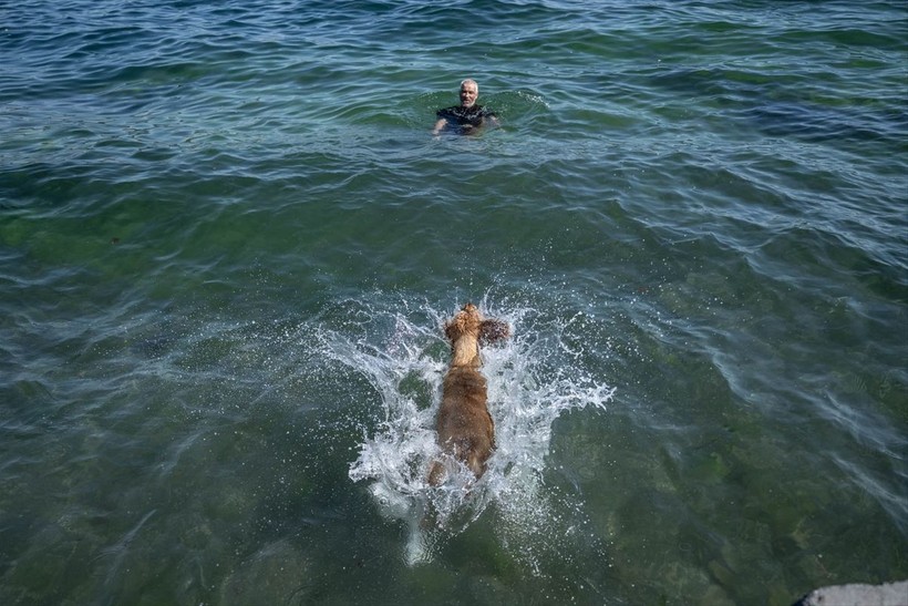 İstanbul'da sıcak hava! Köpekler de denize girip serinledi - Resim: 9
