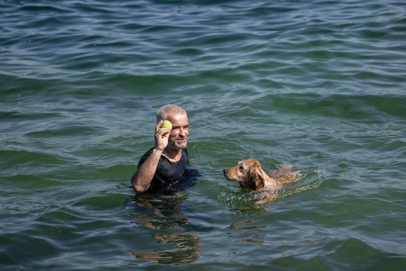 İstanbul'da sıcak hava! Köpekler de denize girip serinledi - Resim: 10