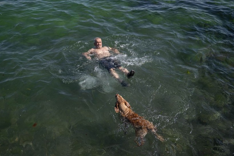 İstanbul'da sıcak hava! Köpekler de denize girip serinledi - Resim: 12