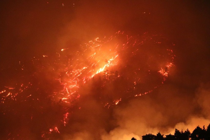Suriye'de 8 gün önce başlayan orman yangını devam ediyor - Resim: 8