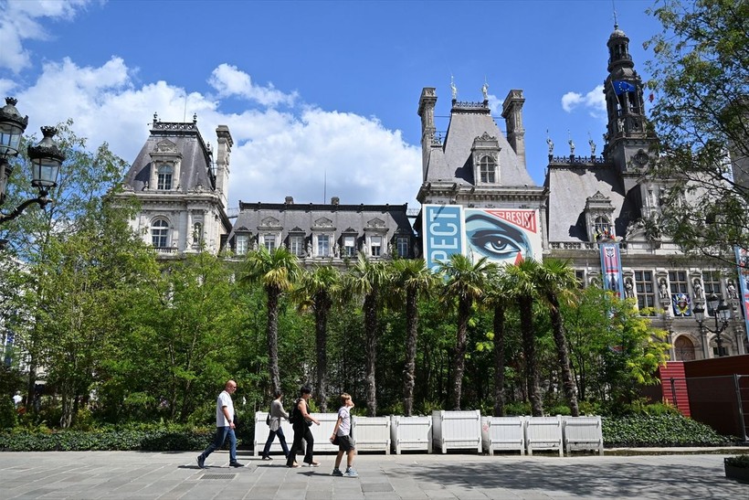 Paris'te tarihi belediye binasının avlusu küresel ısınma nedeniyle kent ormanına çevrildi - Resim: 5