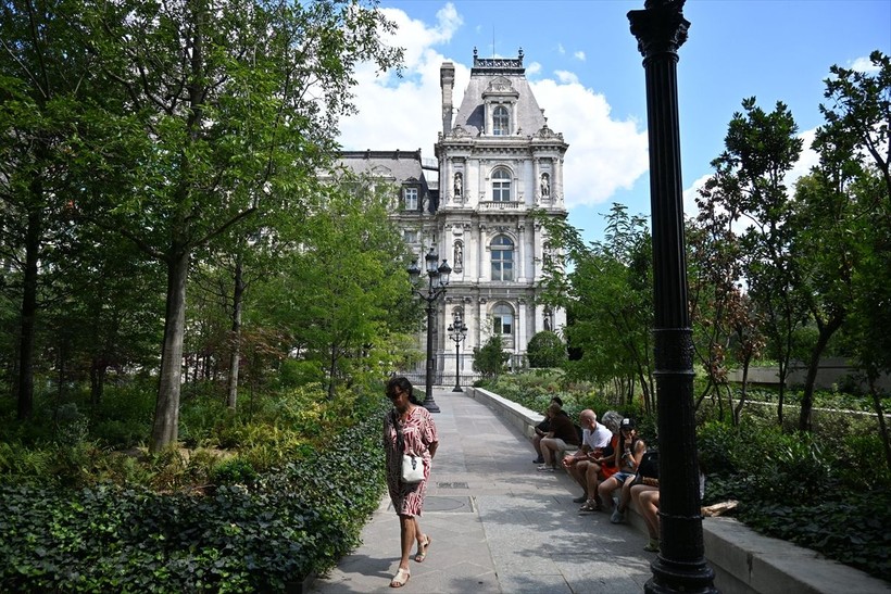Paris'te tarihi belediye binasının avlusu küresel ısınma nedeniyle kent ormanına çevrildi - Resim: 7