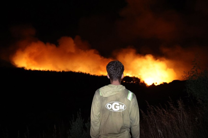 Tekirdağ'da çıkan orman yangını Çanakkale'ye sıçradı! Felaket gün ağarınca ortaya çıktı - Resim: 4