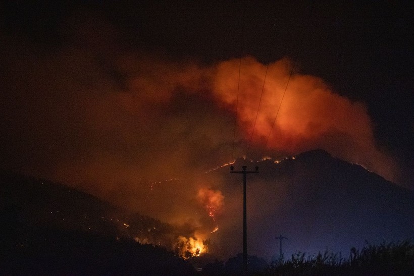 Sakarya'da çıkan orman yangını nedeniyle iki mahalle tahliye edildi - Resim: 7